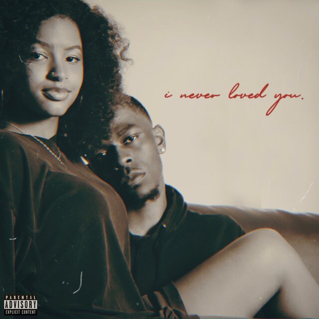 I Never Loved You