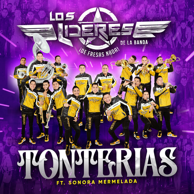 Tonterias