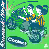 Kawasaki Ninja