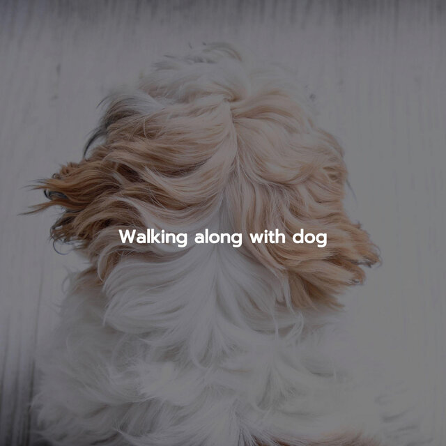 Walking along with dog