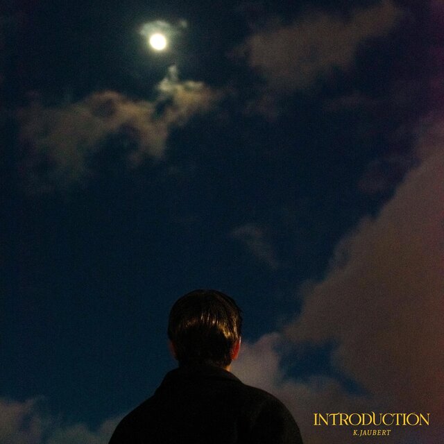 Introduction "Seul dans la nuit"