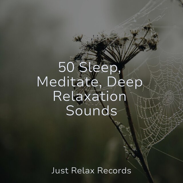 50 Sleep, Meditate, Deep Relaxation Sounds