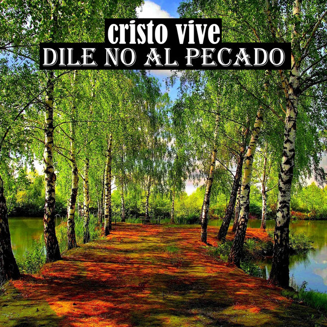 DILE NO AL PECADO