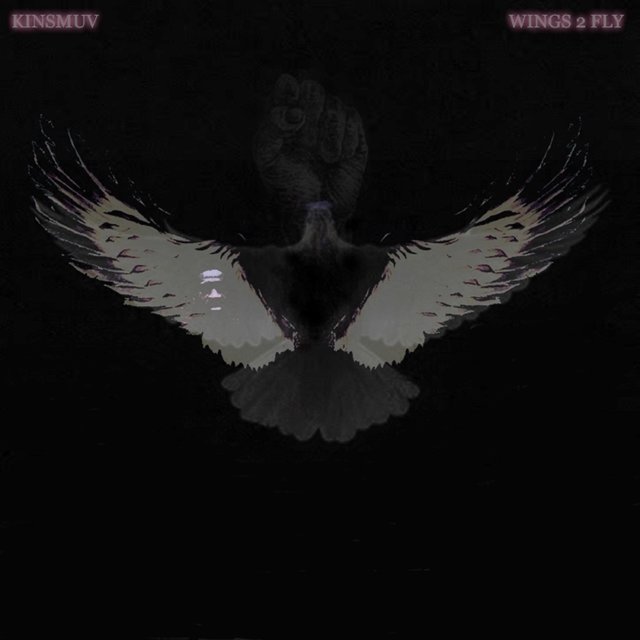 Wings 2 Fly