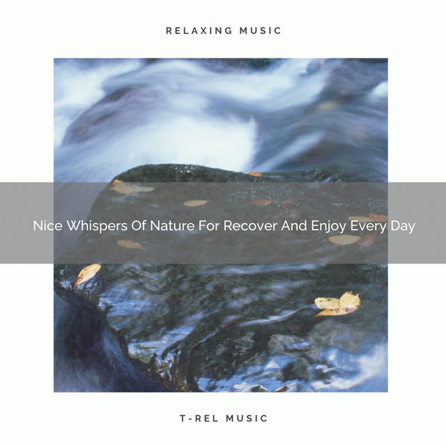 2020 Best: Nice Whispers Of Nature For Recover And Enjoy Every Day