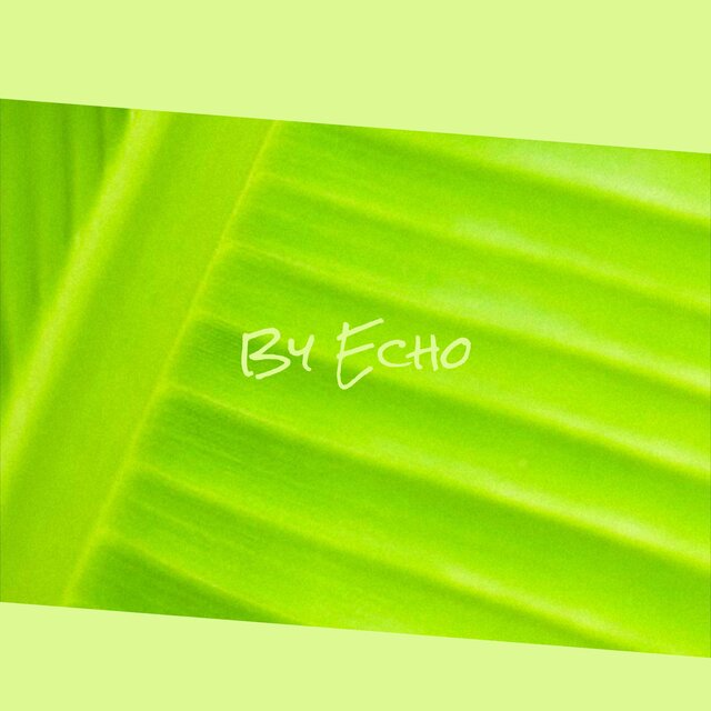 By Echo