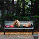 Cover art for album FLY by Easalio