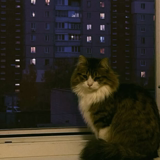 прощай