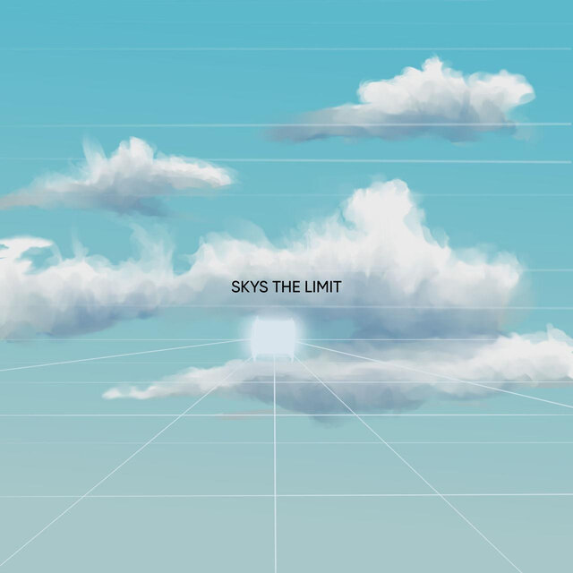Skys The Limit