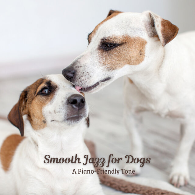 Smooth Jazz for Dogs: A Piano-Friendly Tone
