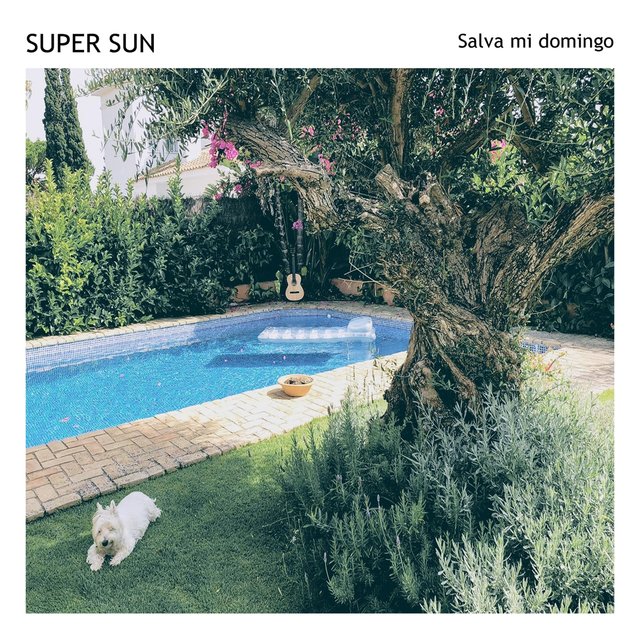 Salva Mi Domingo