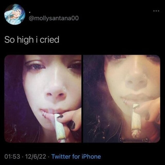 molly santana