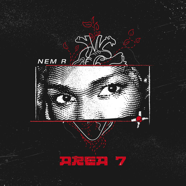 Area 7