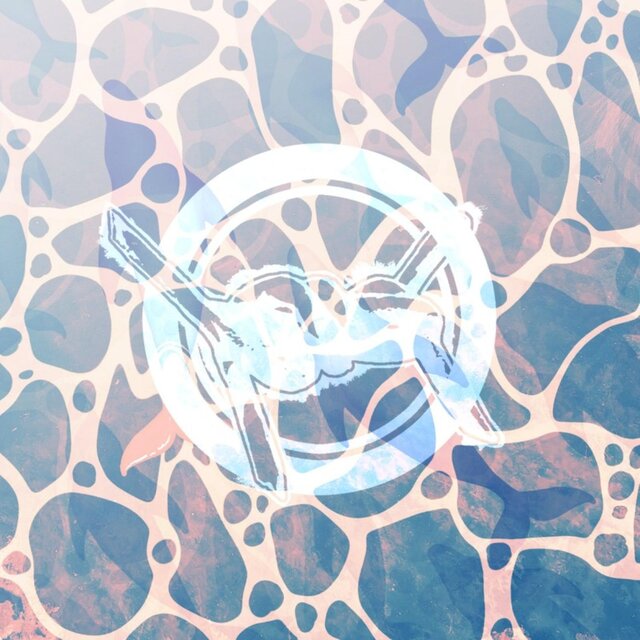 Stargazer (Numb Body Version)