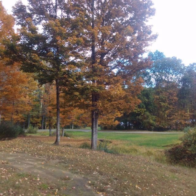 NOVEMBER