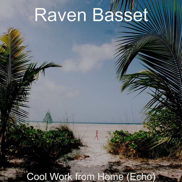 Cool Work from Home (Echo)