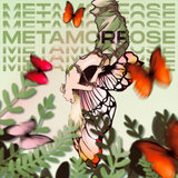 Metamorfose