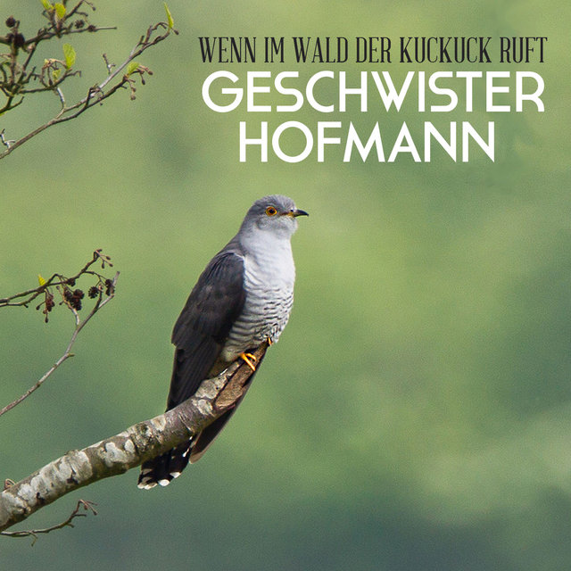 Wenn im Wald der Kuckuck ruft