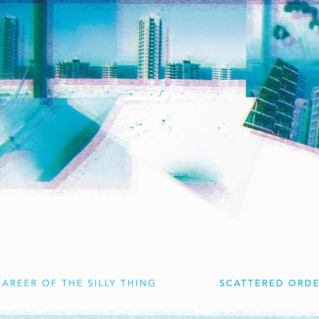 Career Of The Silly Thing