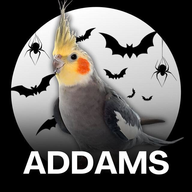 WHISTLE - ADDAMS FAMILY