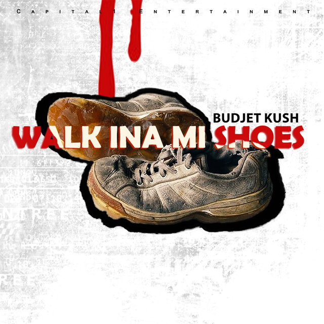 Walk Ina Mi Shoes