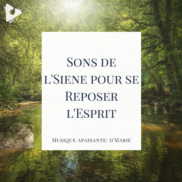 Sons de l'Siene pour se Reposer l'Esprit