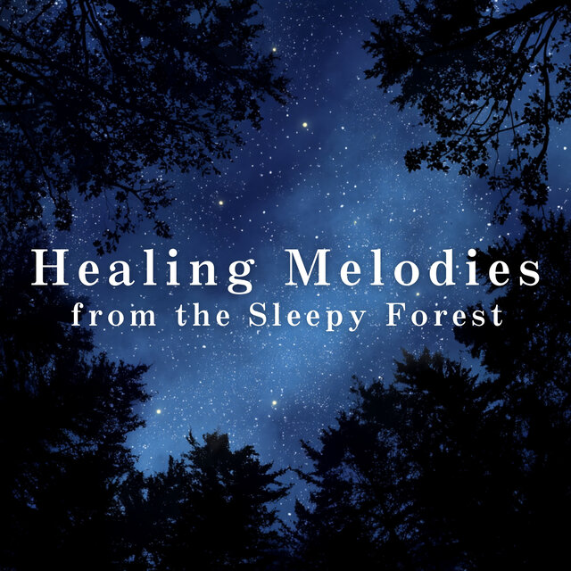 Healing Melodies from the Sleepy Forest
