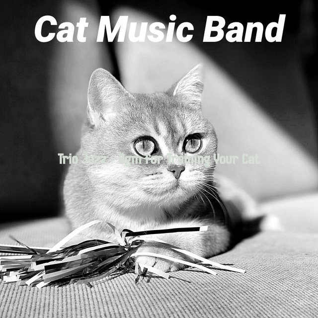Trio Jazz - Bgm for Training Your Cat