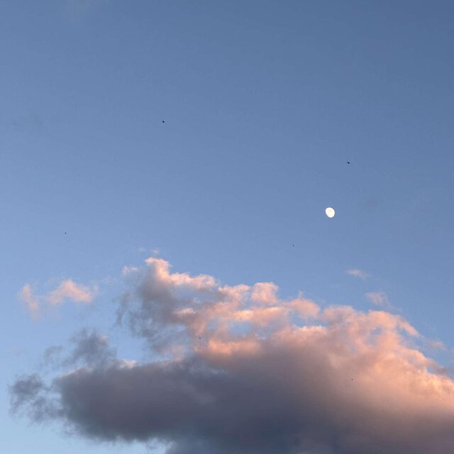 fade away