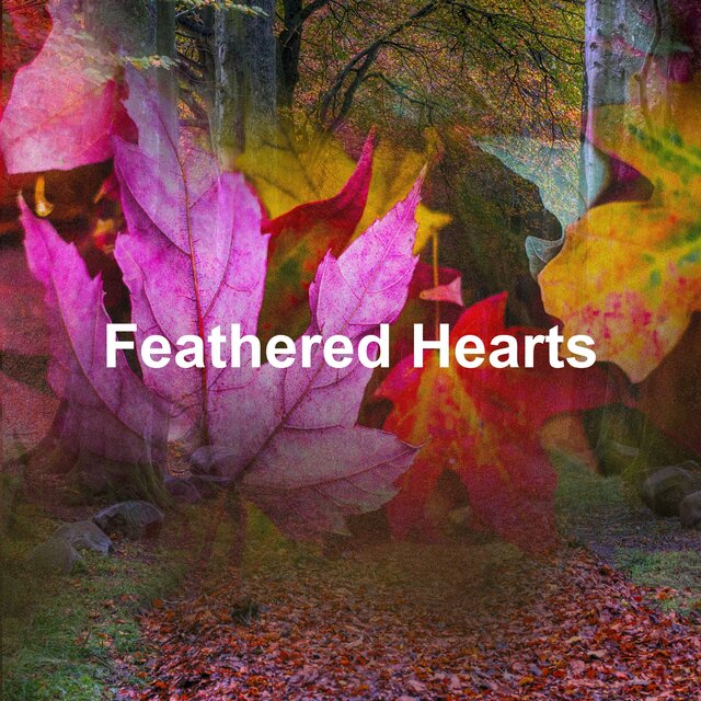 Feathered Hearts