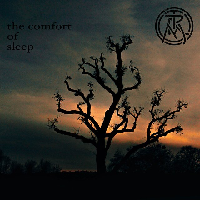 The Comfort of Sleep