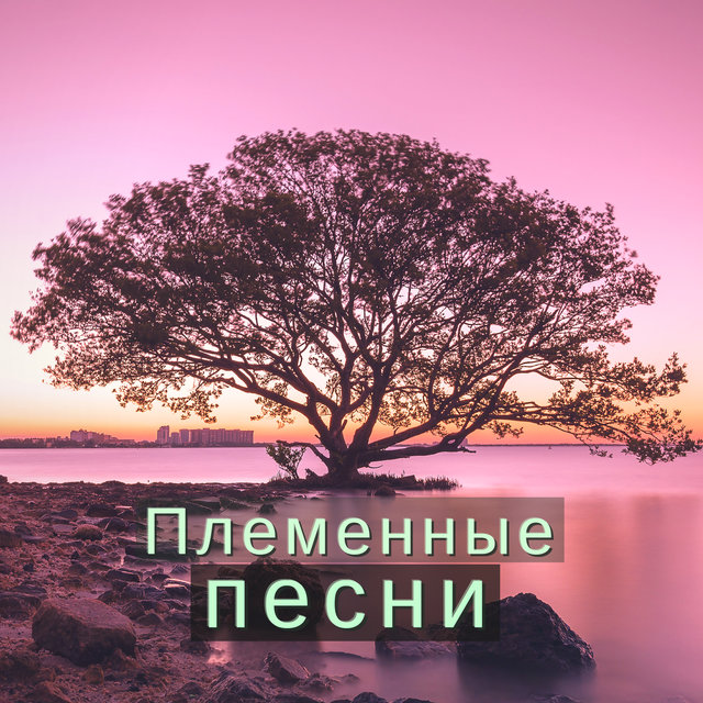 Племенные песни: Этнические мелодии для атмосферы с традиционными африканскими ритмами