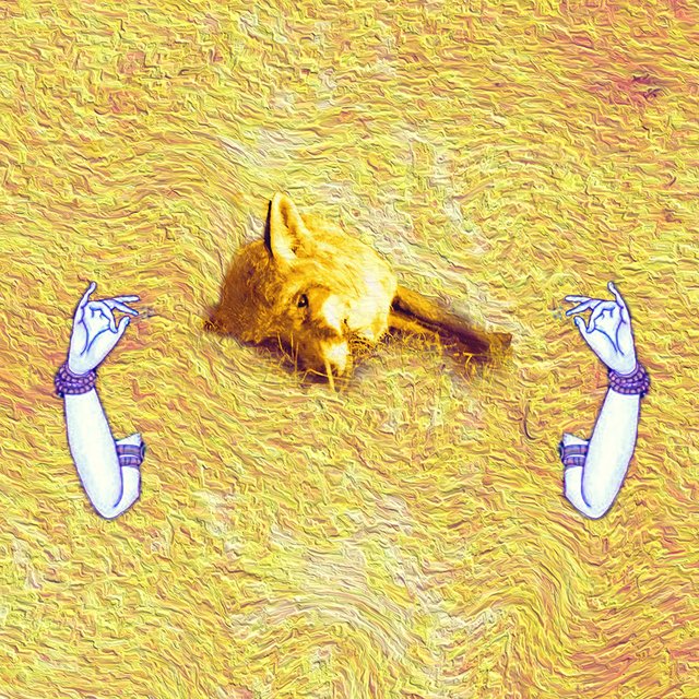 Unalbum
