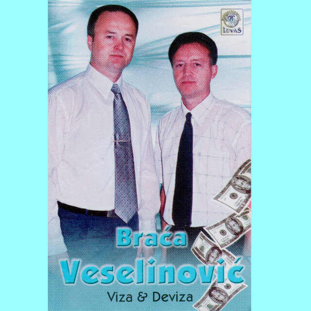 Viza i deviza