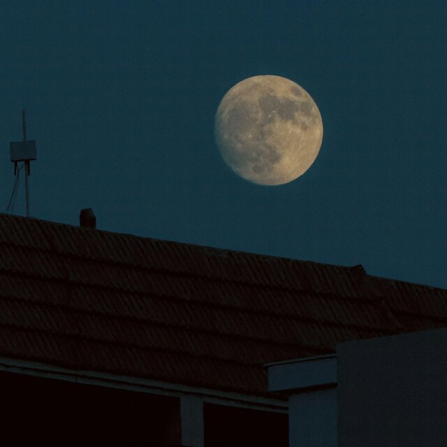 dream