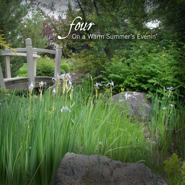 On a Warm Summer's Evenin'