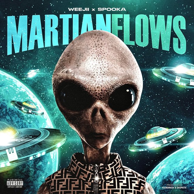 Martian Flows