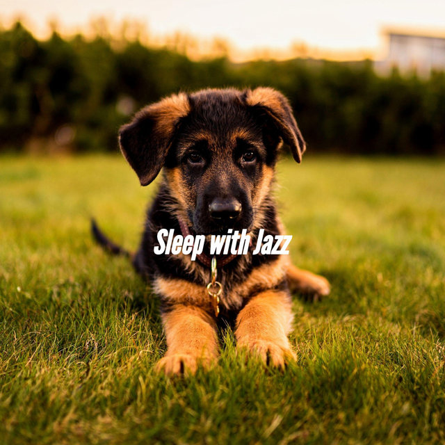 Sleep with Jazz