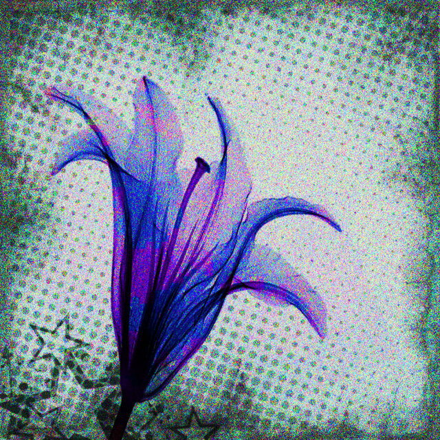 Flor Nuev4