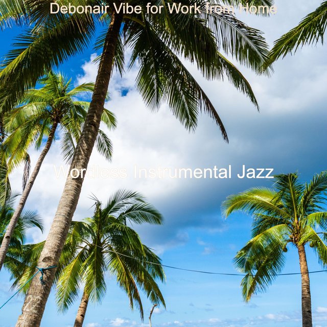 Debonair Vibe for Work from Home