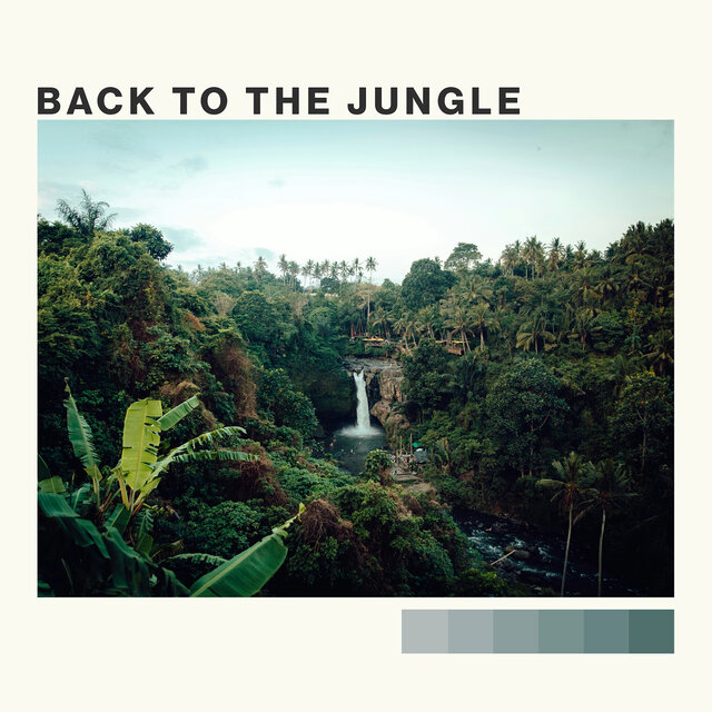 Back to the Jungle