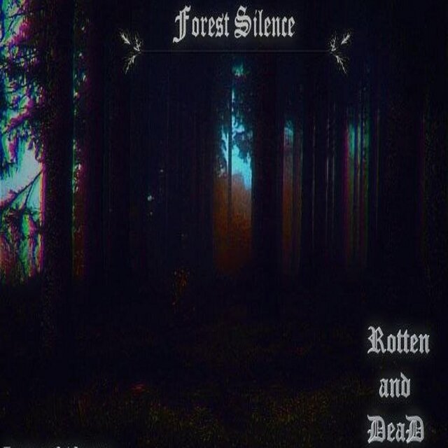 Forest Silence
