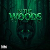 In The Woods