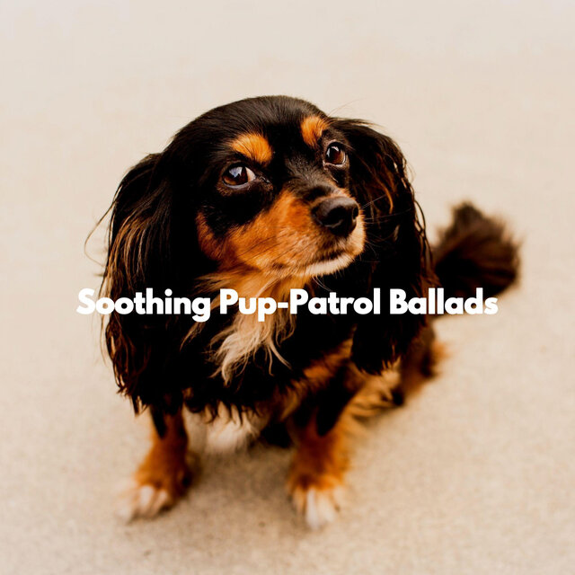 Soothing Pup-Patrol Ballads