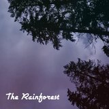 The Rainforest