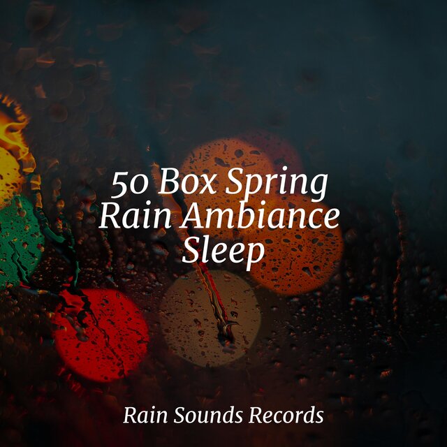 50 Box Spring Rain Ambiance Sleep