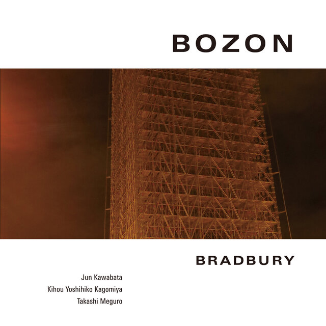BOZON