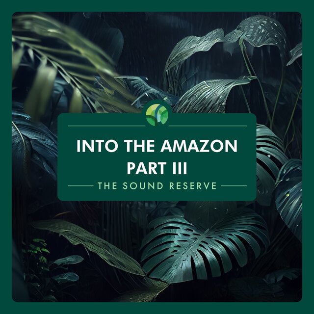 Into the Amazon Part III