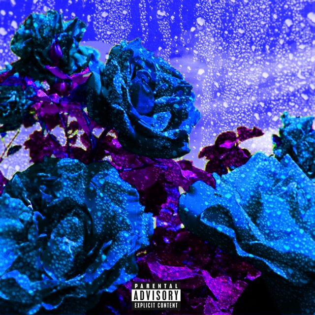 00BFFF (Deep Sky Blue)