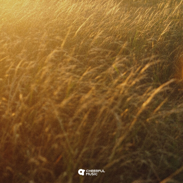 Soft Flare